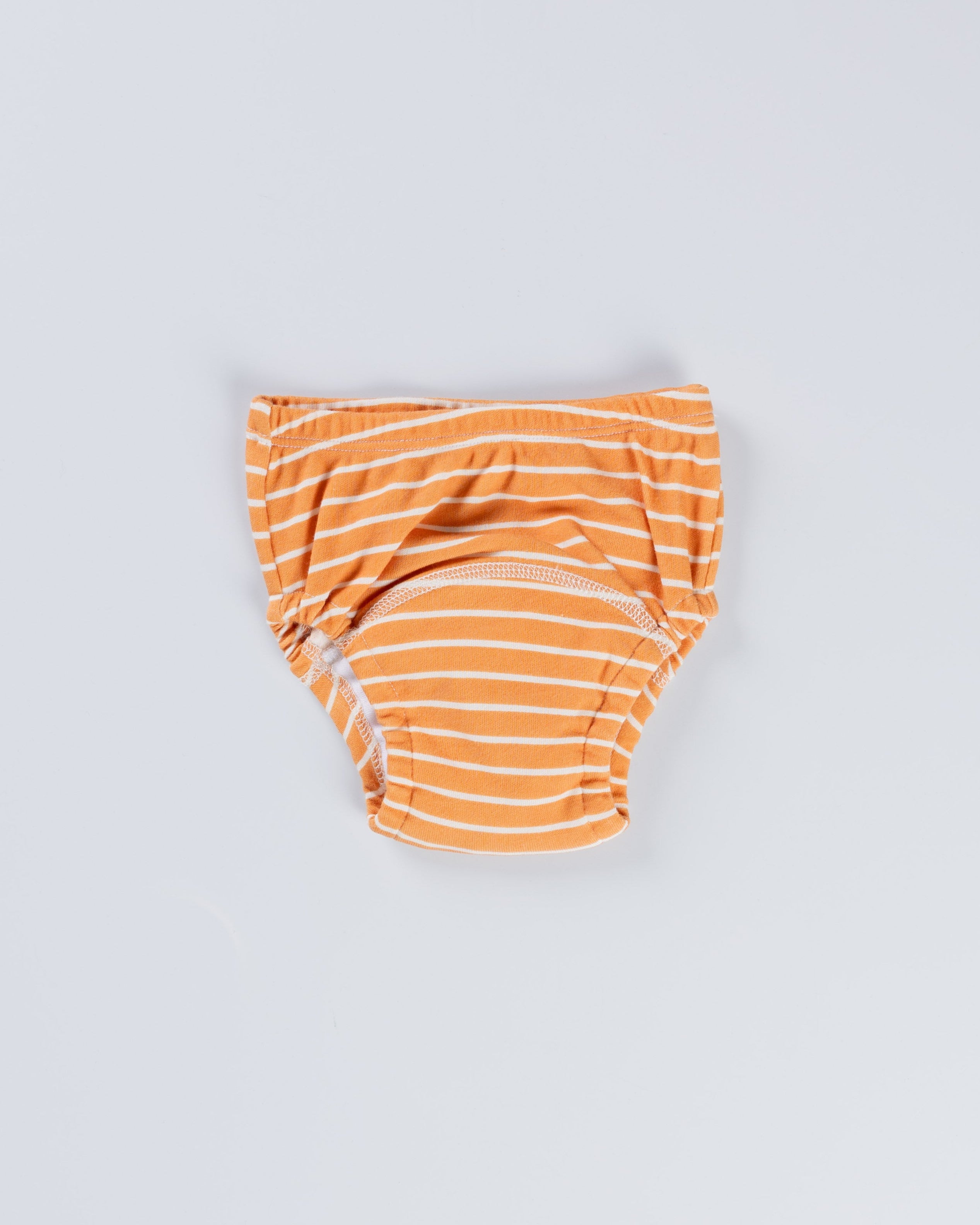STRIPEE POTTY TRAINING PANTY