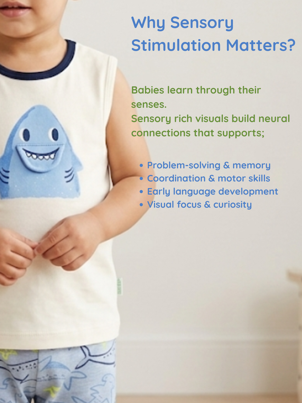 SHARK VEST & PANT SET