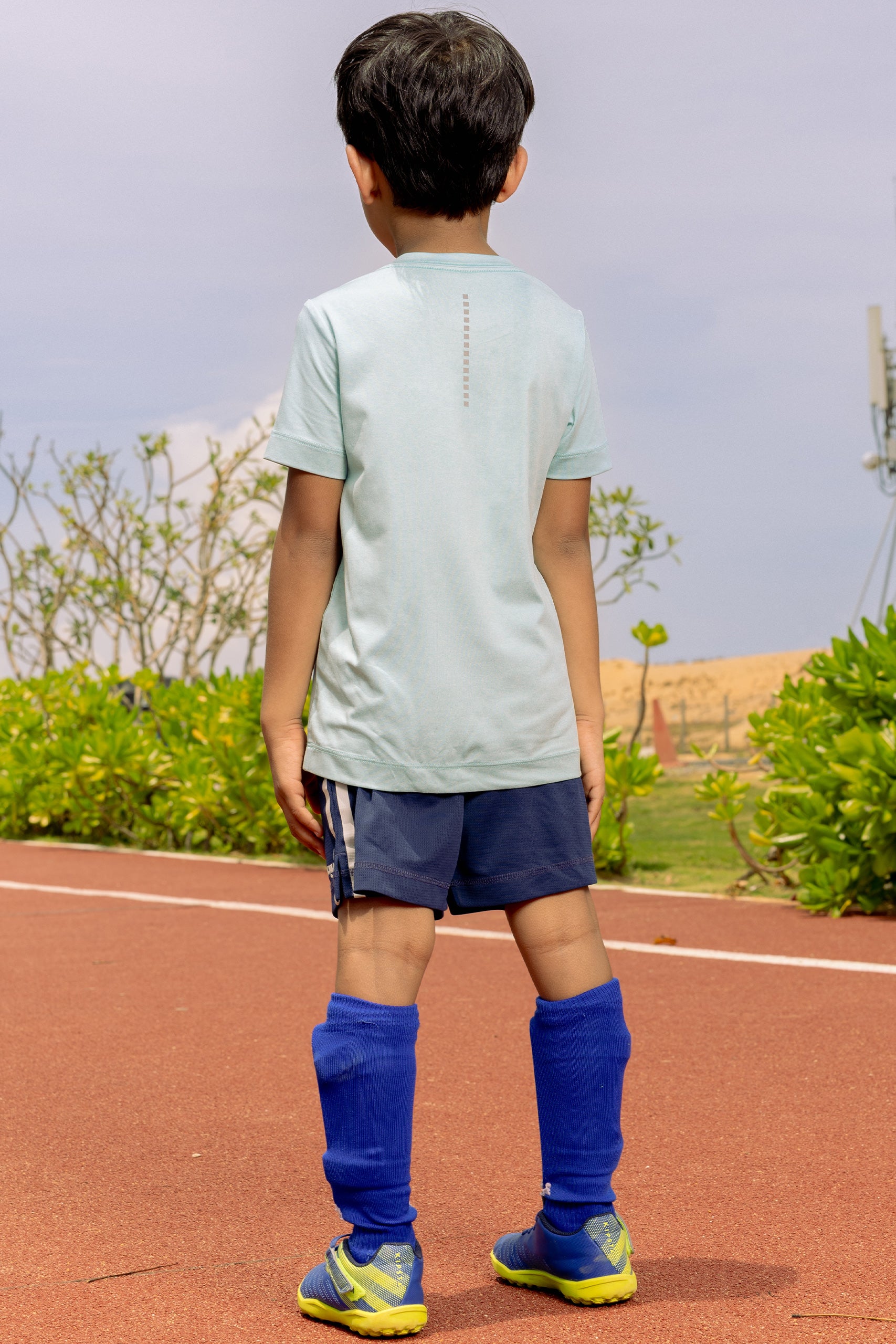 රාජකීය නිල් පැසිපන්දු කෙටිකතාව
