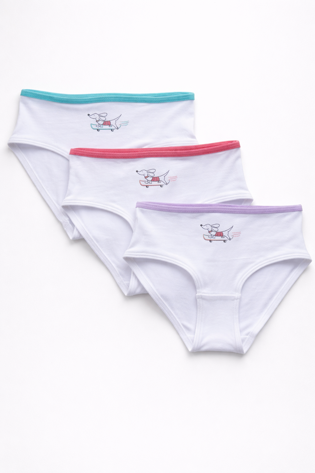 SKATER DOG GIRLS CLASSIC FIT BRIEF