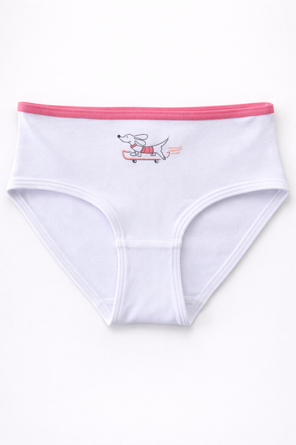 SKATER DOG GIRLS CLASSIC FIT BRIEF