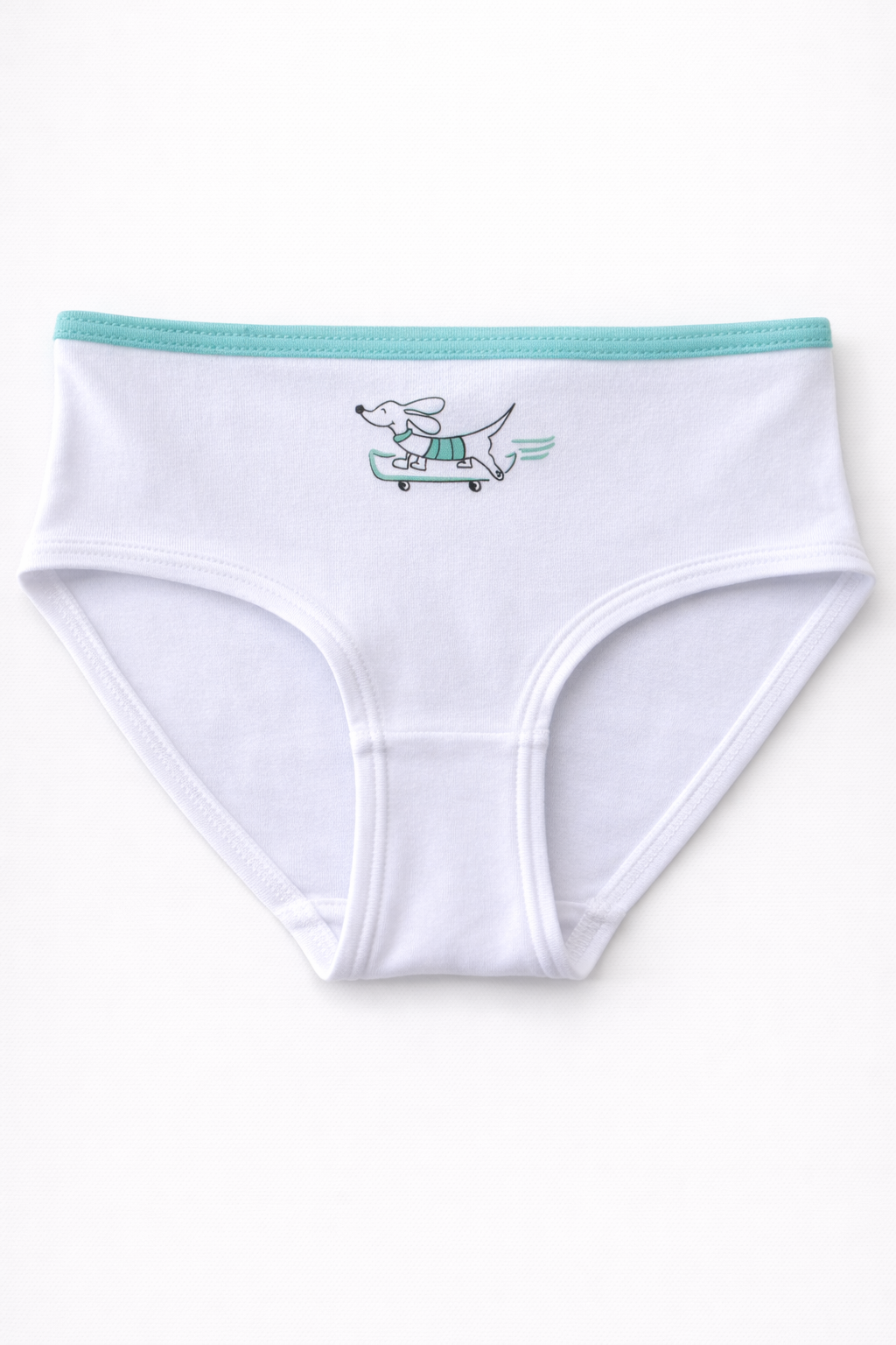 SKATER DOG GIRLS CLASSIC FIT BRIEF