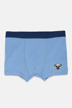 Boys Boxer