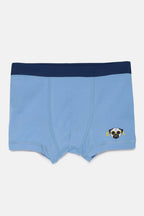 Boys Boxer