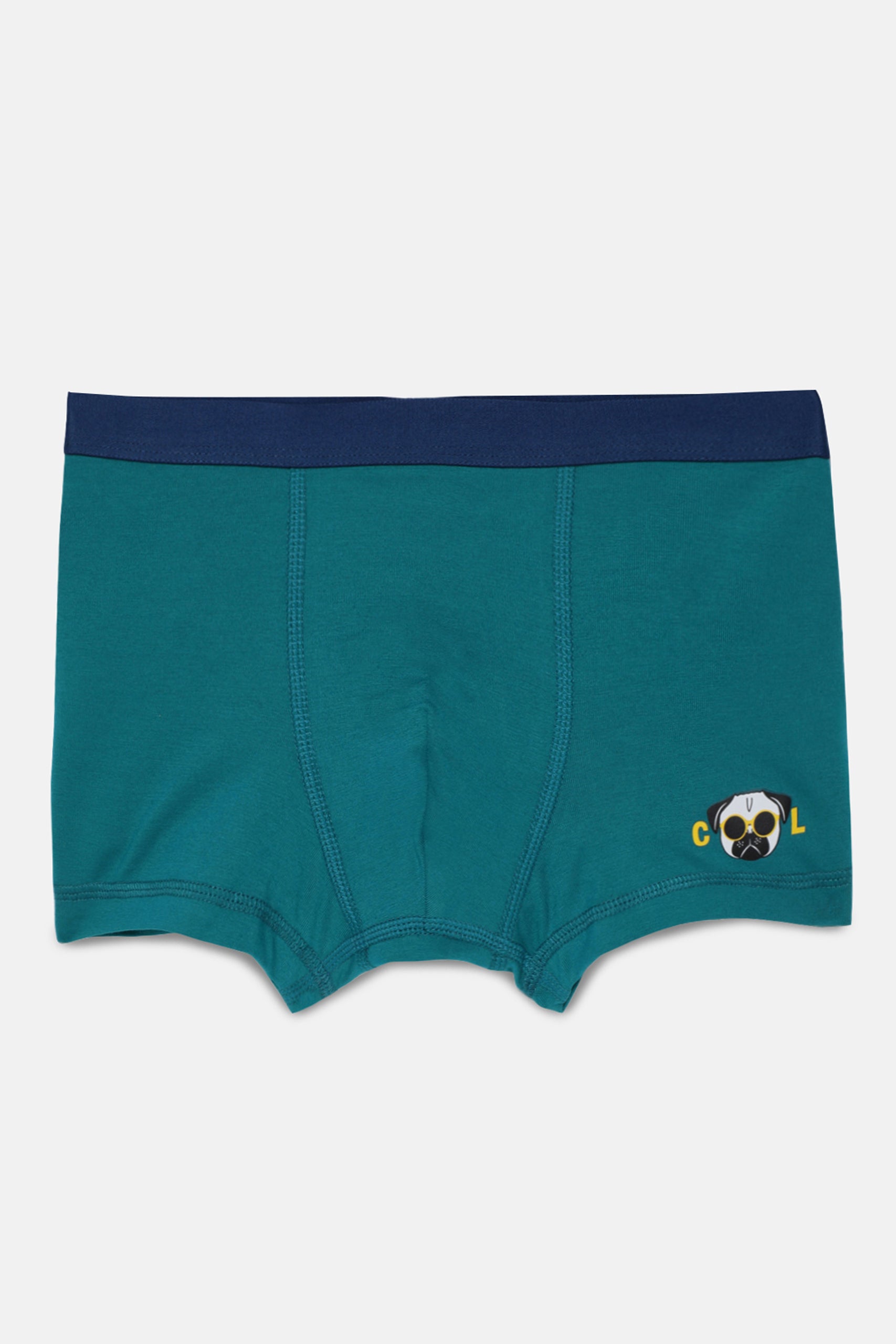 Boys Boxer