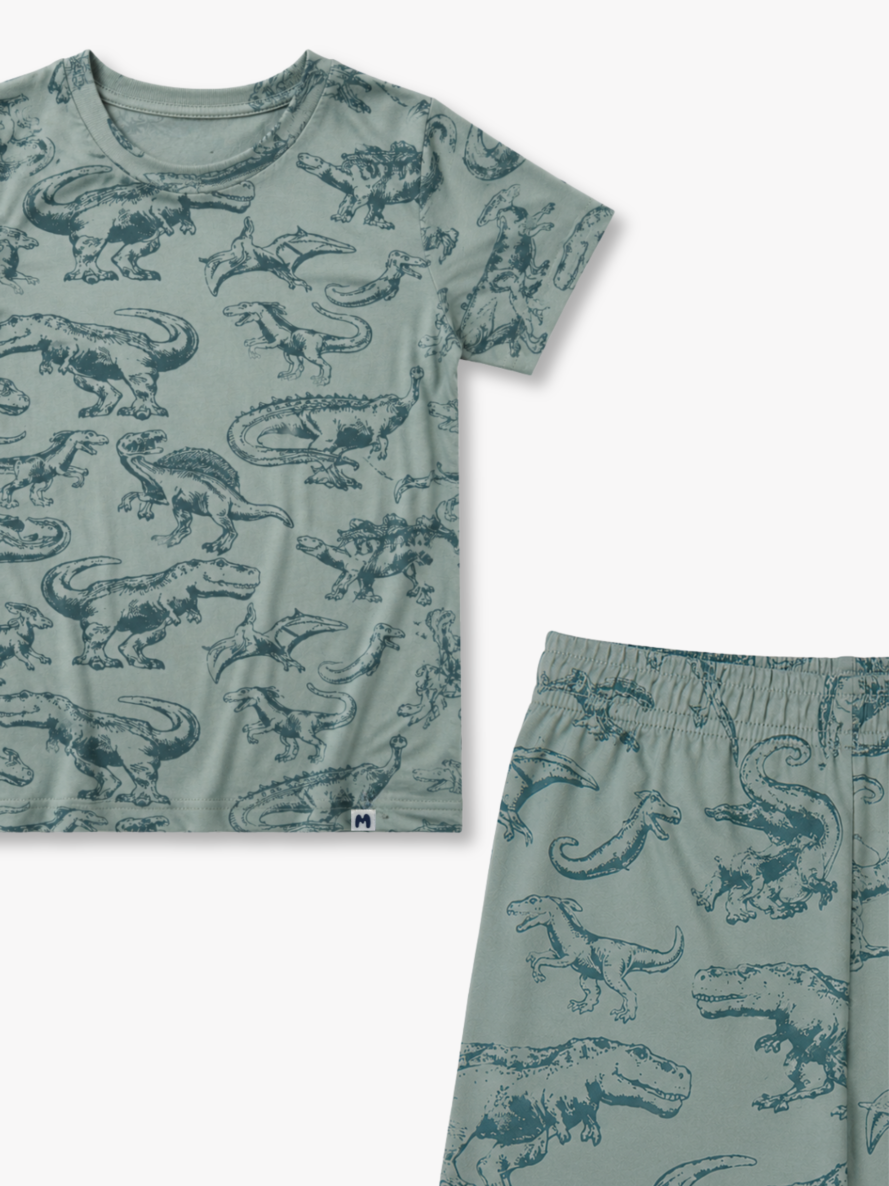 AIRSOFT MODAL DINO BOYS SHORT SLEEVE SHORT SET