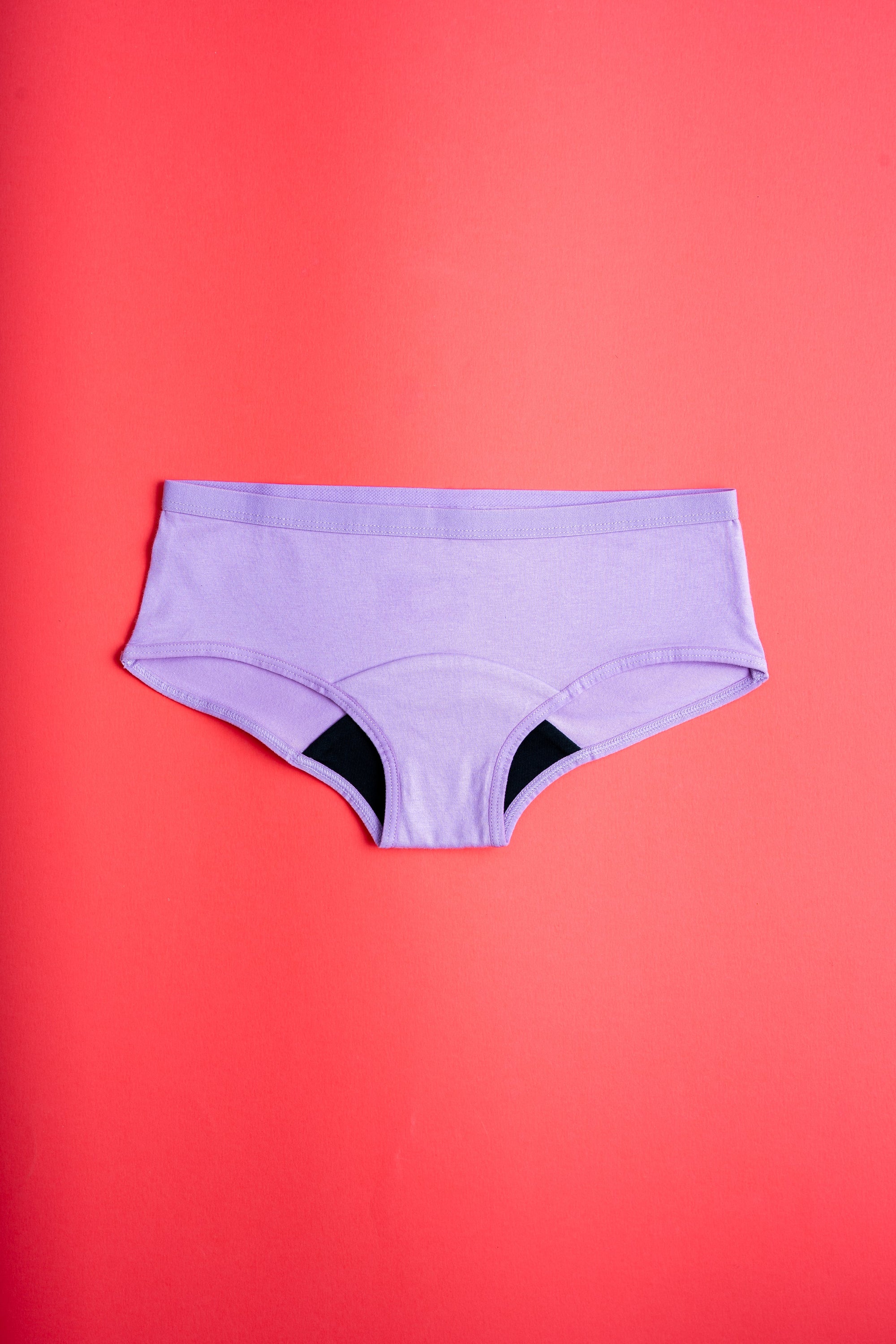 PURPLE LEAK PROOF PANTY