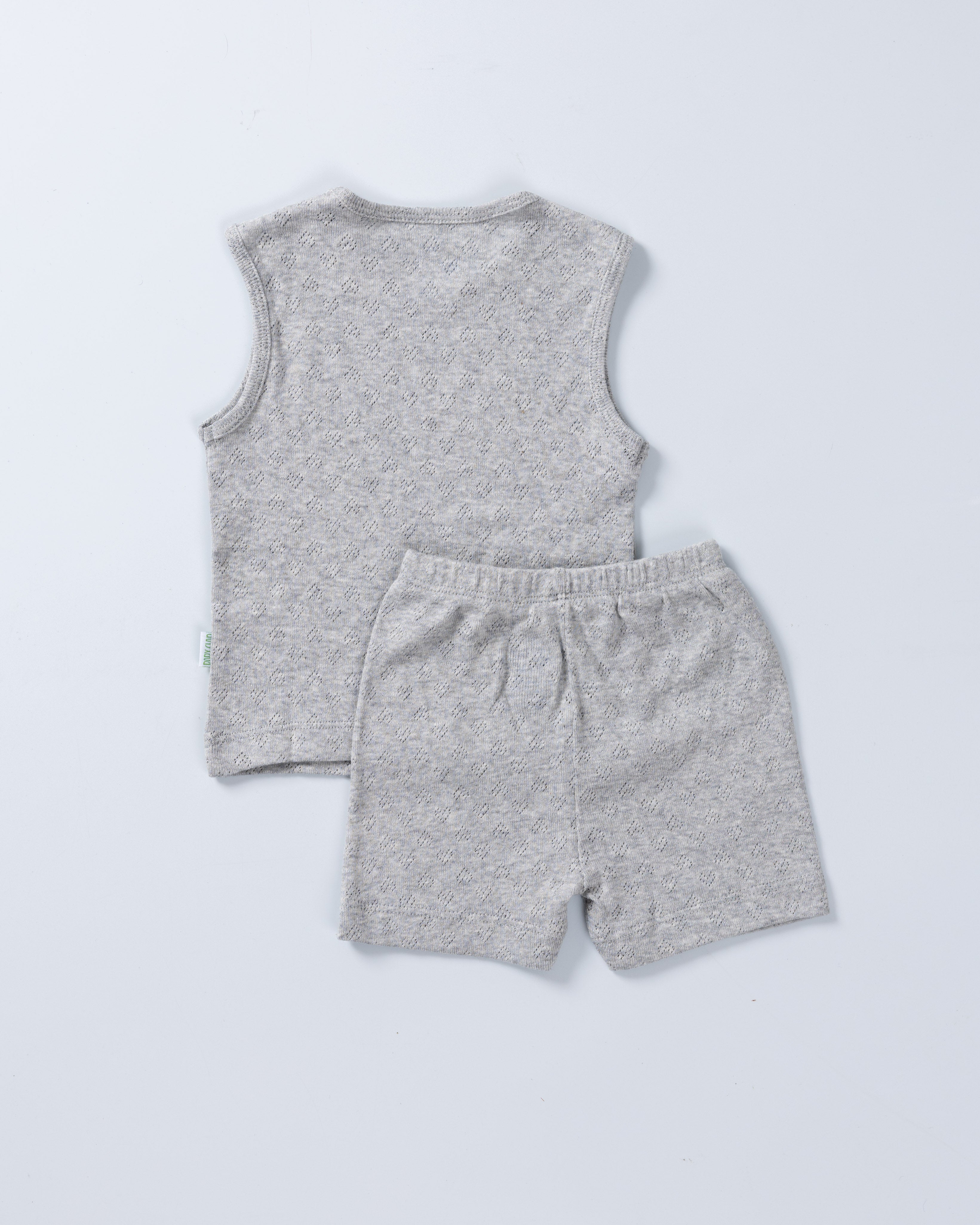 ASHY  POINTELLE  VEST & SHORT SET