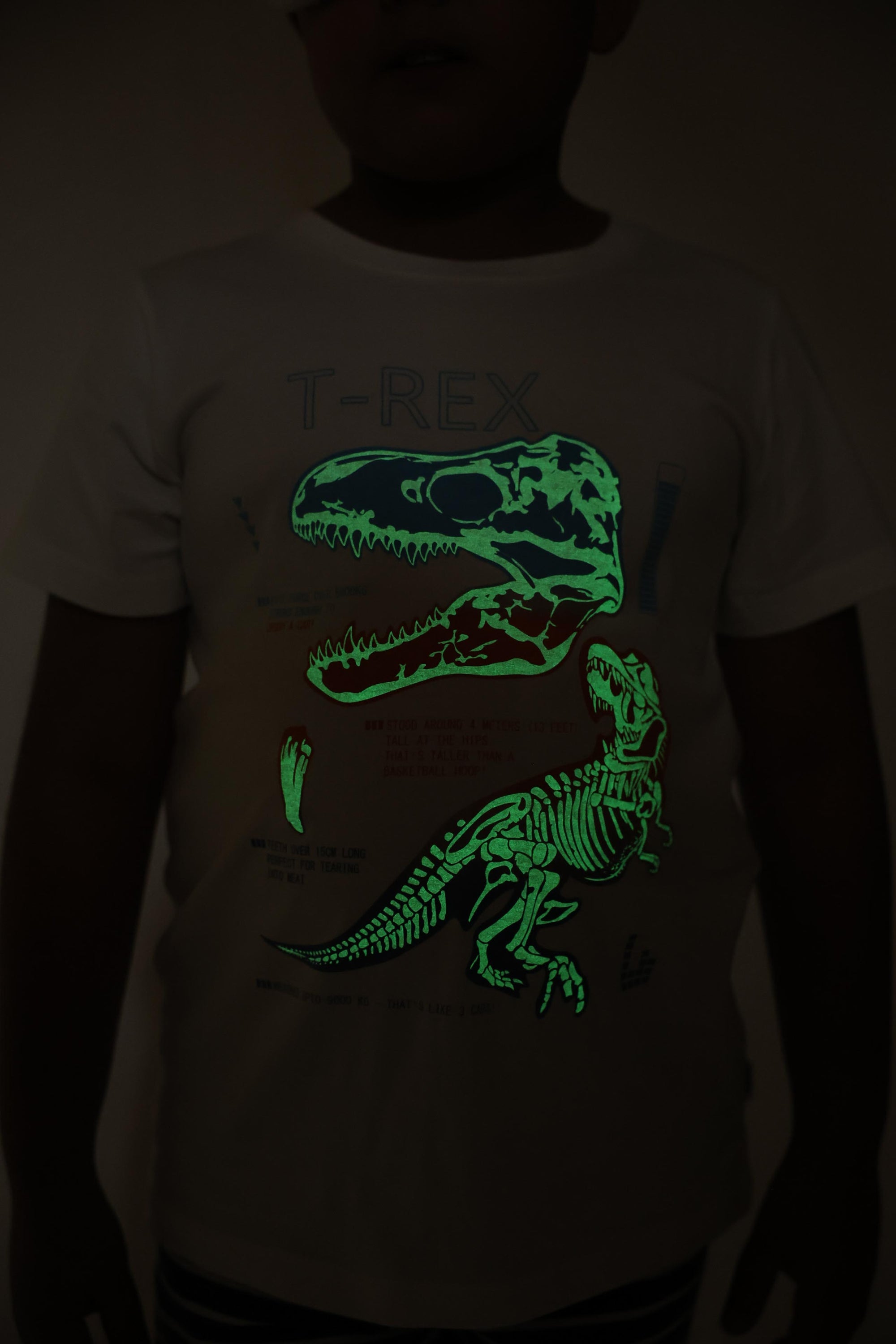 T.REX - BOYS SHORT SLEEVE SHORT SET