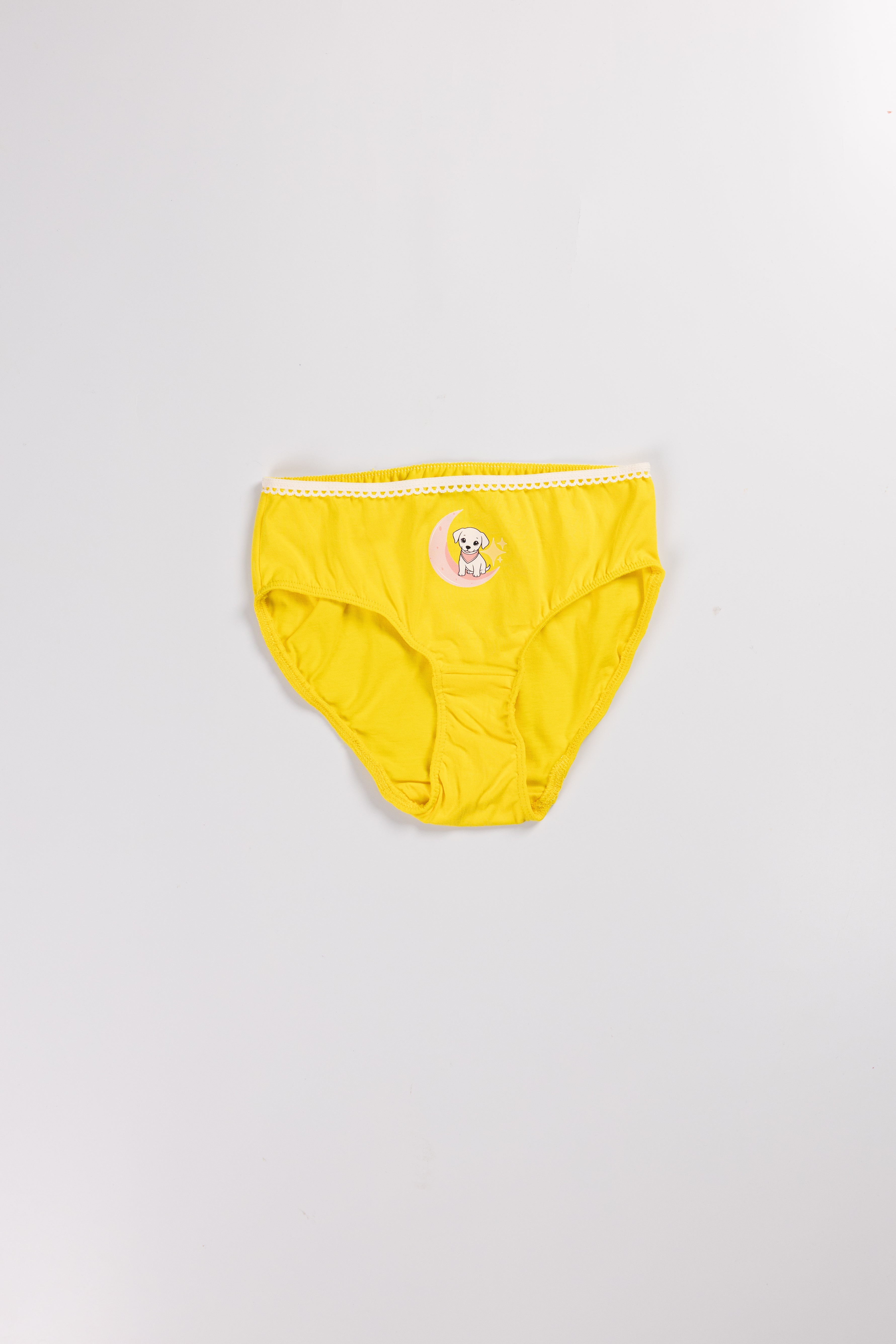 3 PACK  - WOOF GIRLS BRIEF SET