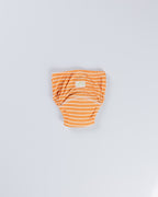 STRIPEE POTTY TRAINING PANTY