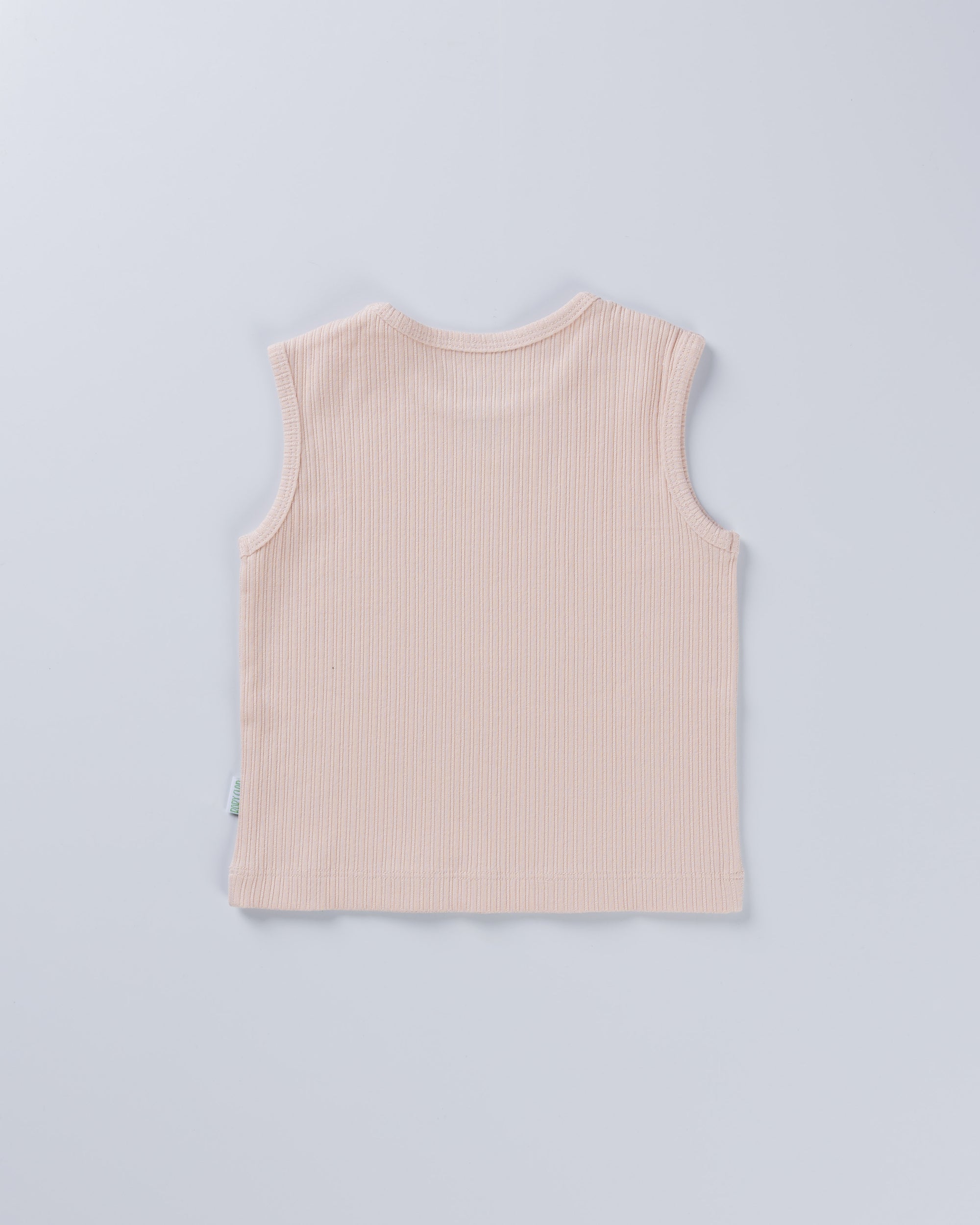SOFT ORANGE POINTELLE VEST AND SHORT SET