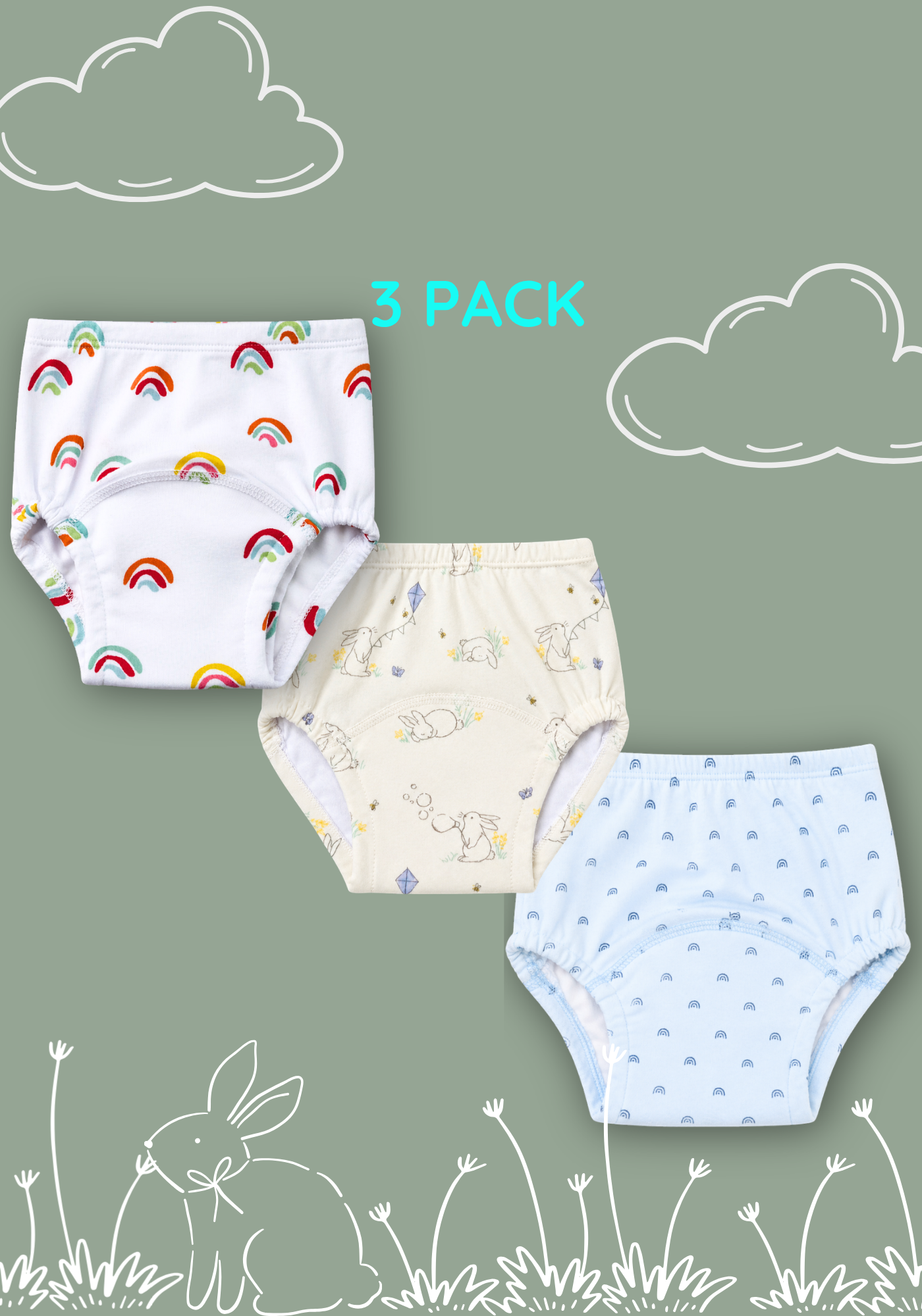 BLOSSOM DREAMS POTTY TRAINNING PANTY 3 PACK