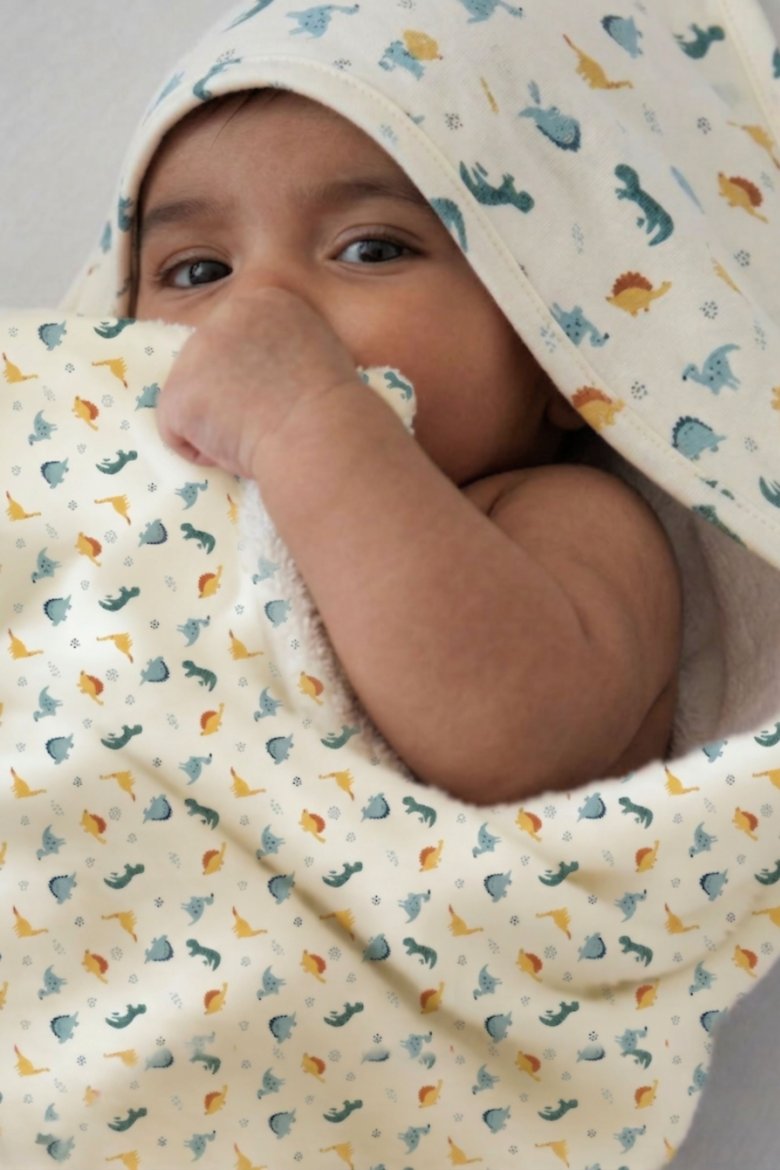 BOYS CUTE DINO BABY HOODED BLANKET
