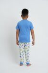 DINO EXPERT BOYS PAJAMA SET (1)