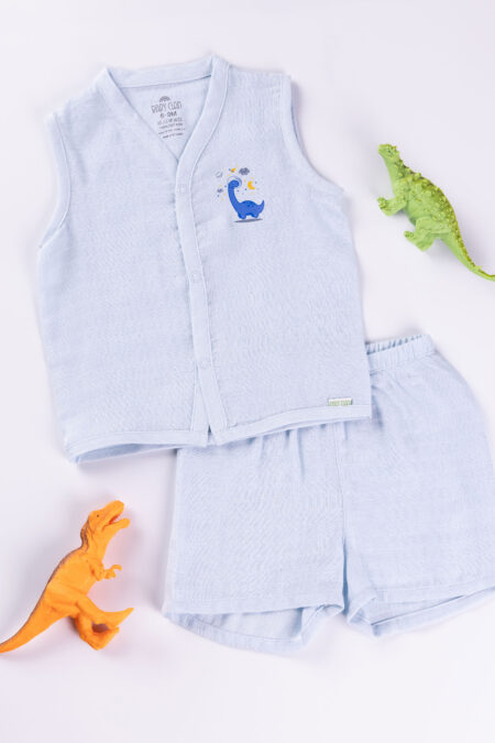 BABY DINO SHORT SET