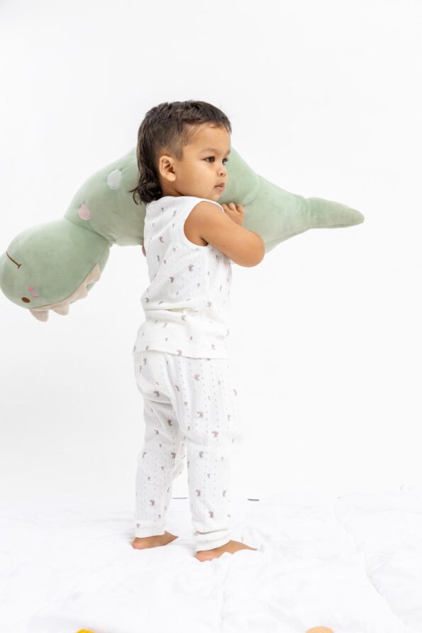 SHROOMY SNUGGLES PANT SET