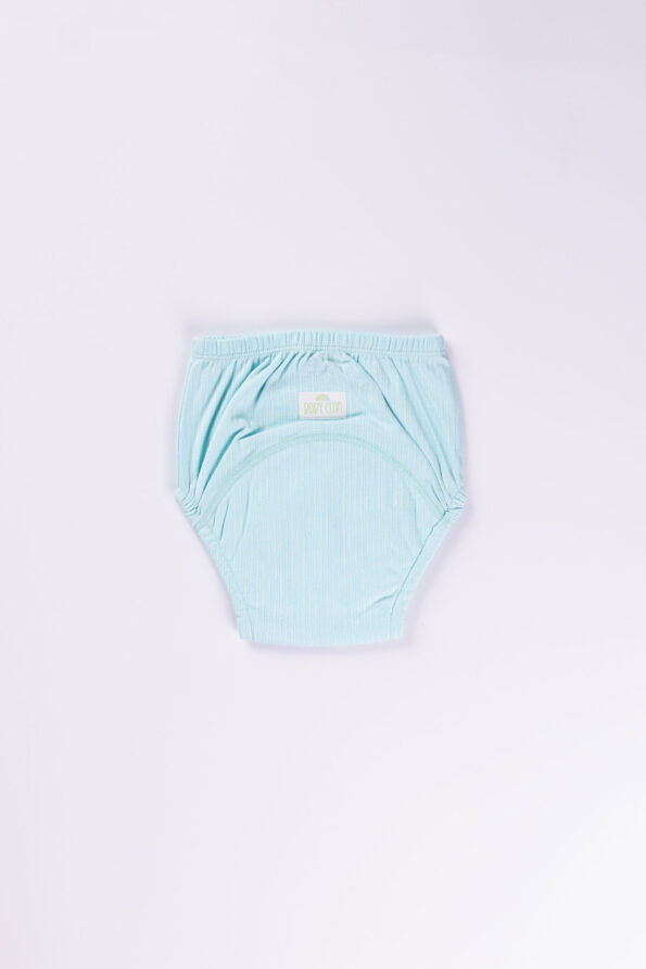 BLUE BLISS POTTY TRAINING PANTY