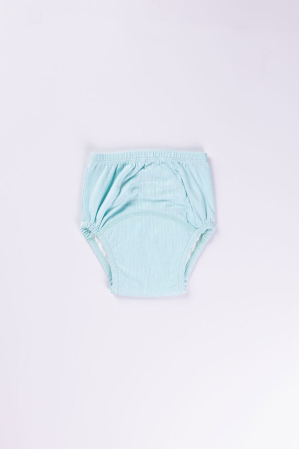 BLUE BLISS POTTY TRAINING PANTY