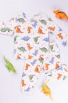 DINO DOODLES PANT SET (2)