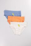 SKATEREX BOYS’ 3-PIECE BOXER UNDERWEAR SET (2)