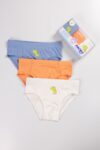 SKATEREX BOYS’ 3-PIECE BOXER UNDERWEAR SET (2)